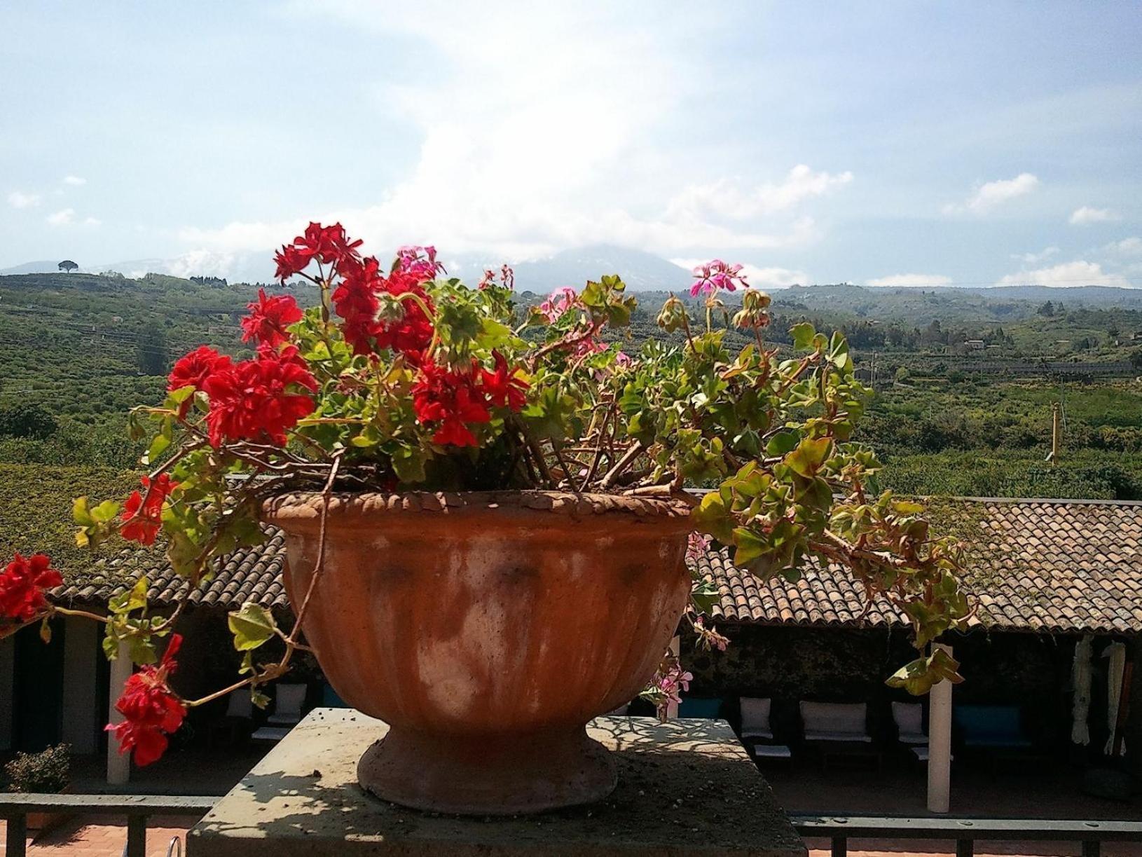 Etna Hotel Giarre Extérieur photo