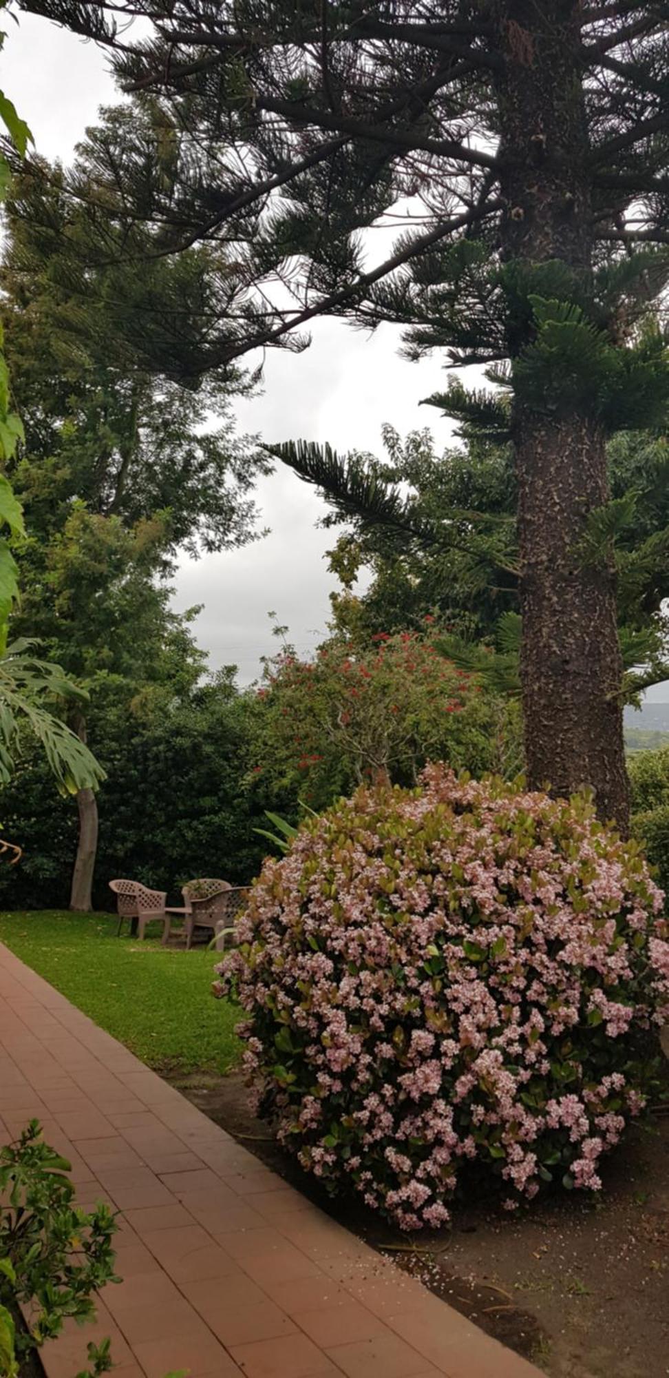 Etna Hotel Giarre Extérieur photo